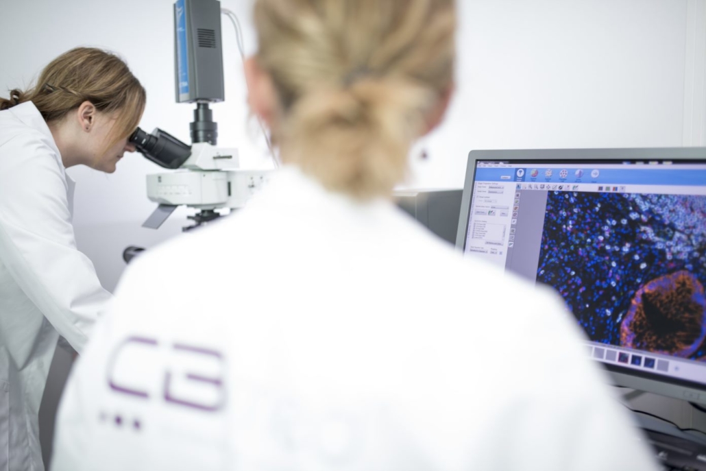 Lab at CBmed in Graz, Austria, working on new drug screening platform